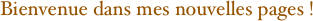 Bienvenue dans mes nouvelles pages !